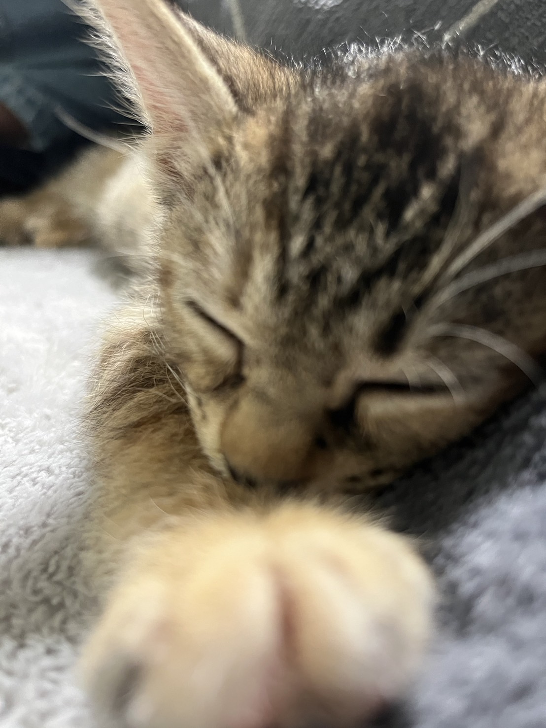 たけるの写真