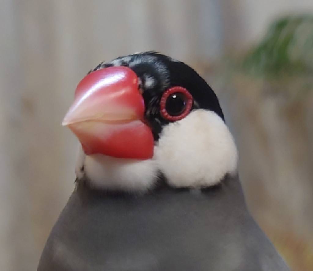 なおとの写真